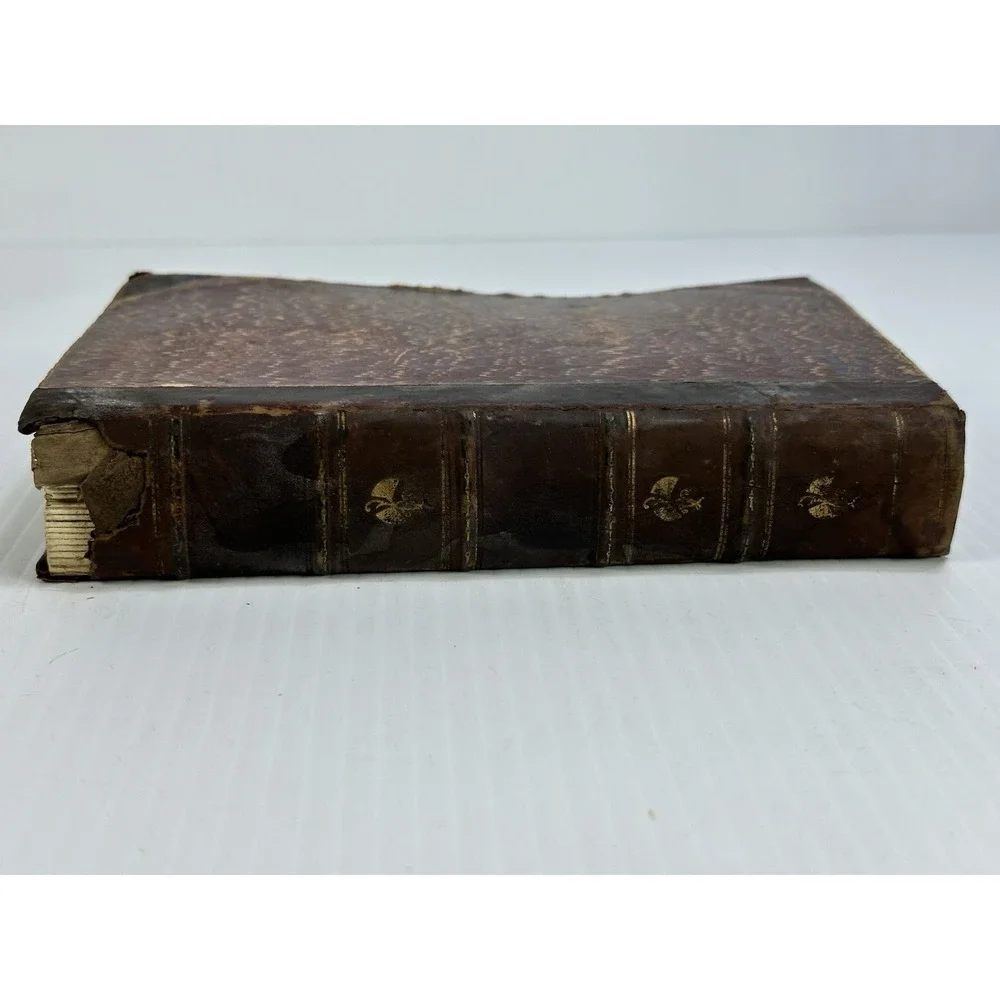 Antique The Mill on the Floss George Eliot Belford Clarke & Co Chicago & NY 1885